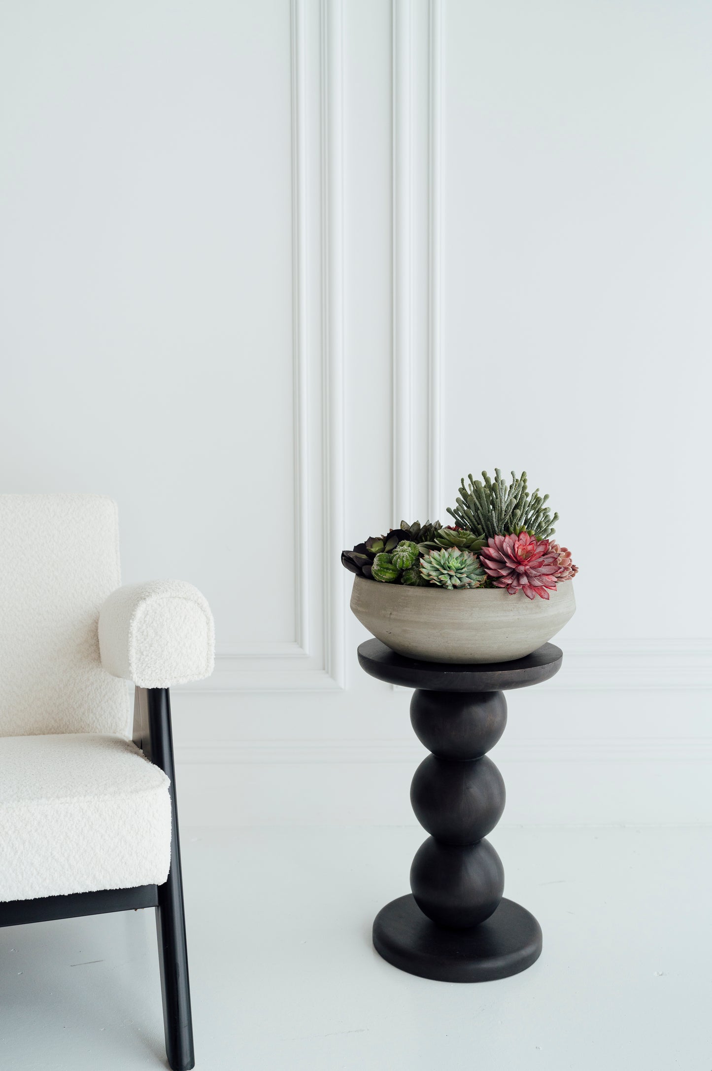Succulents in Cement Vase