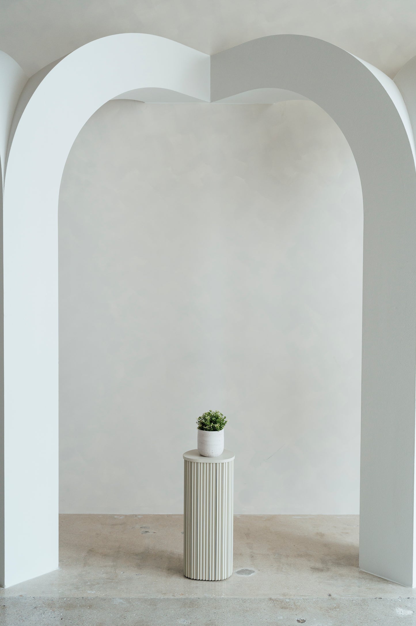 Greenery Plant Mini