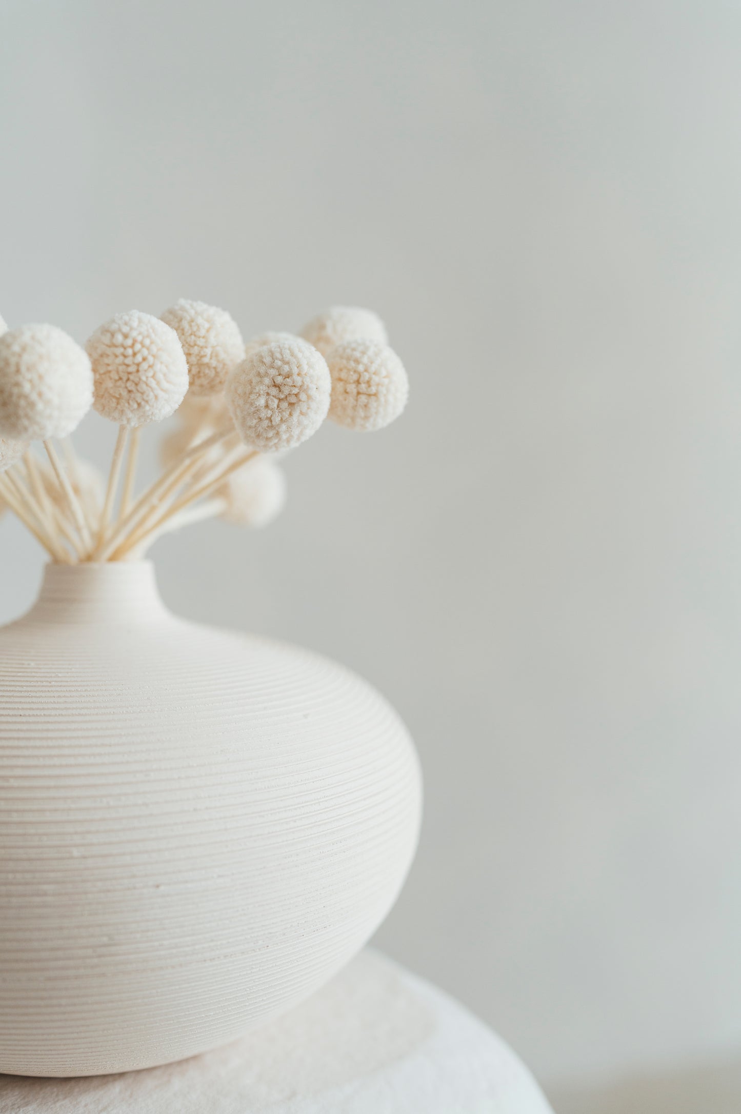 Nude Vase with Craspedia