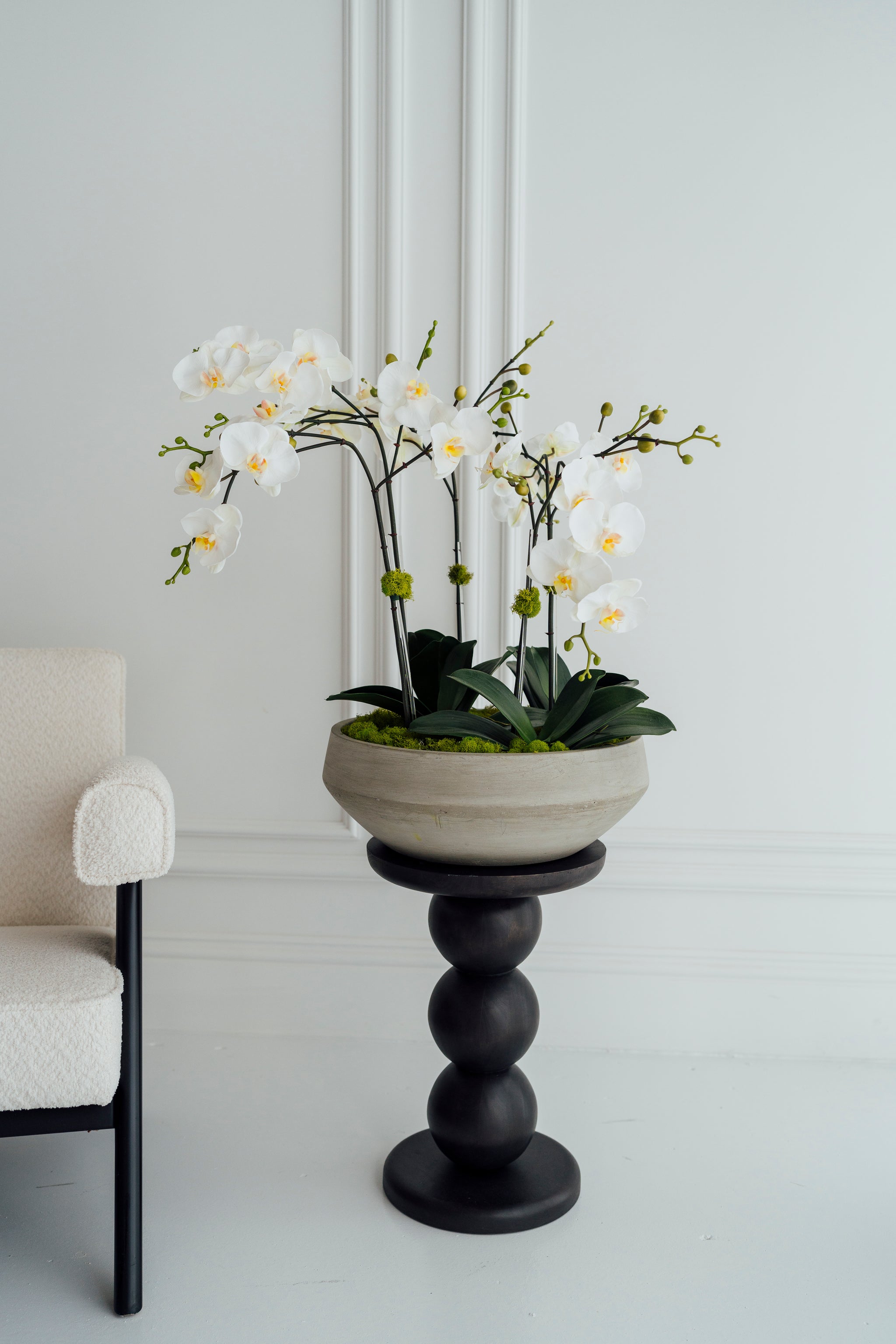 XL Orchids in Cement Vase