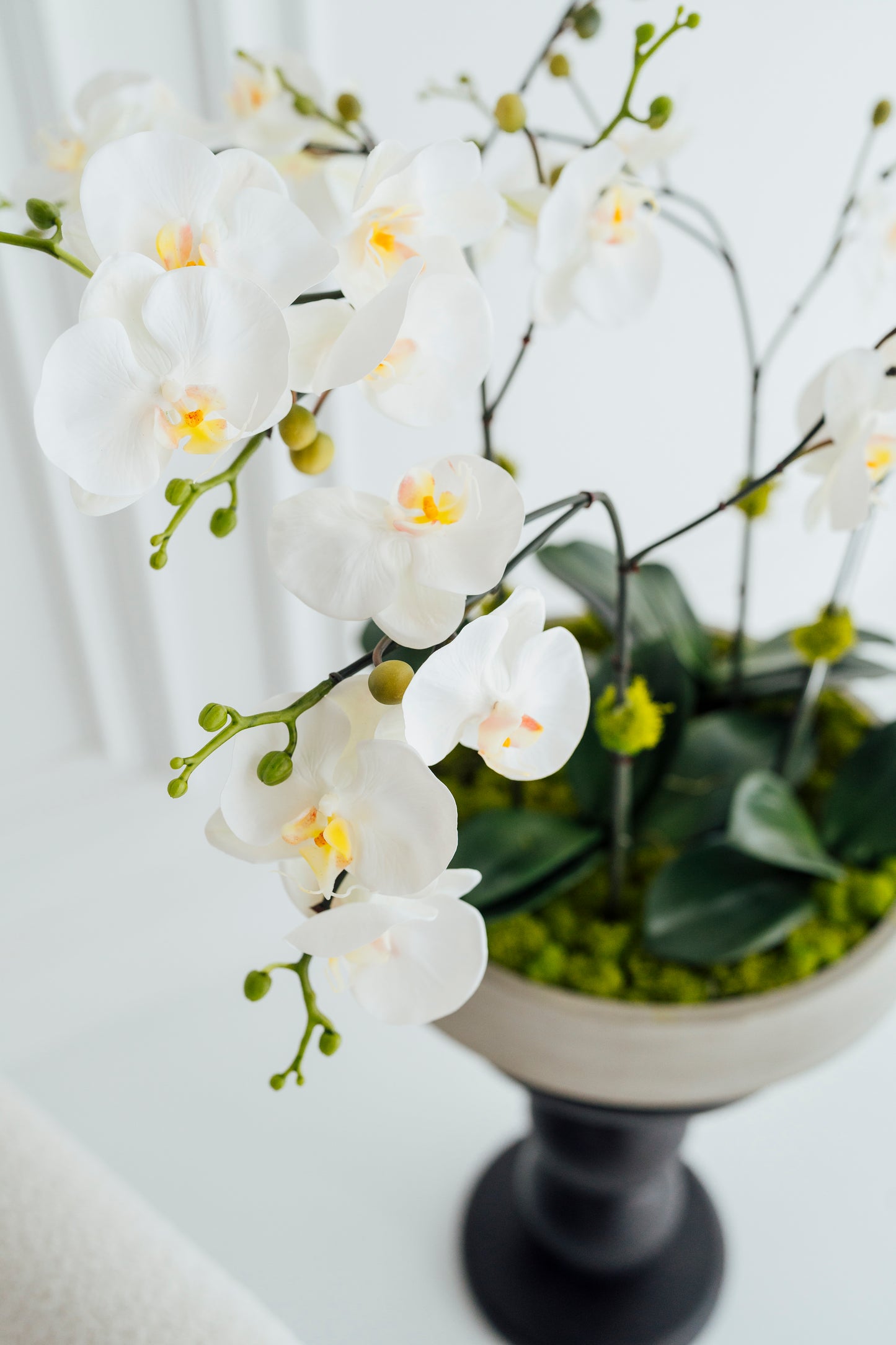 XL Orchids in Cement Vase