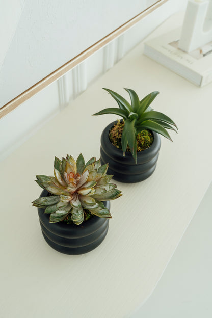 Two Pots of Greenery