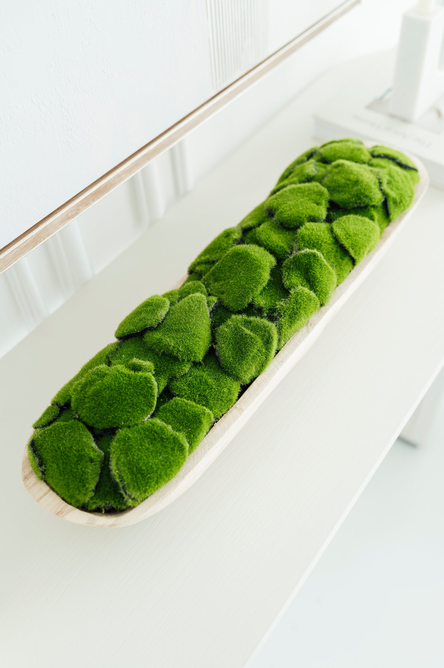 Moss in Cylinder Vase