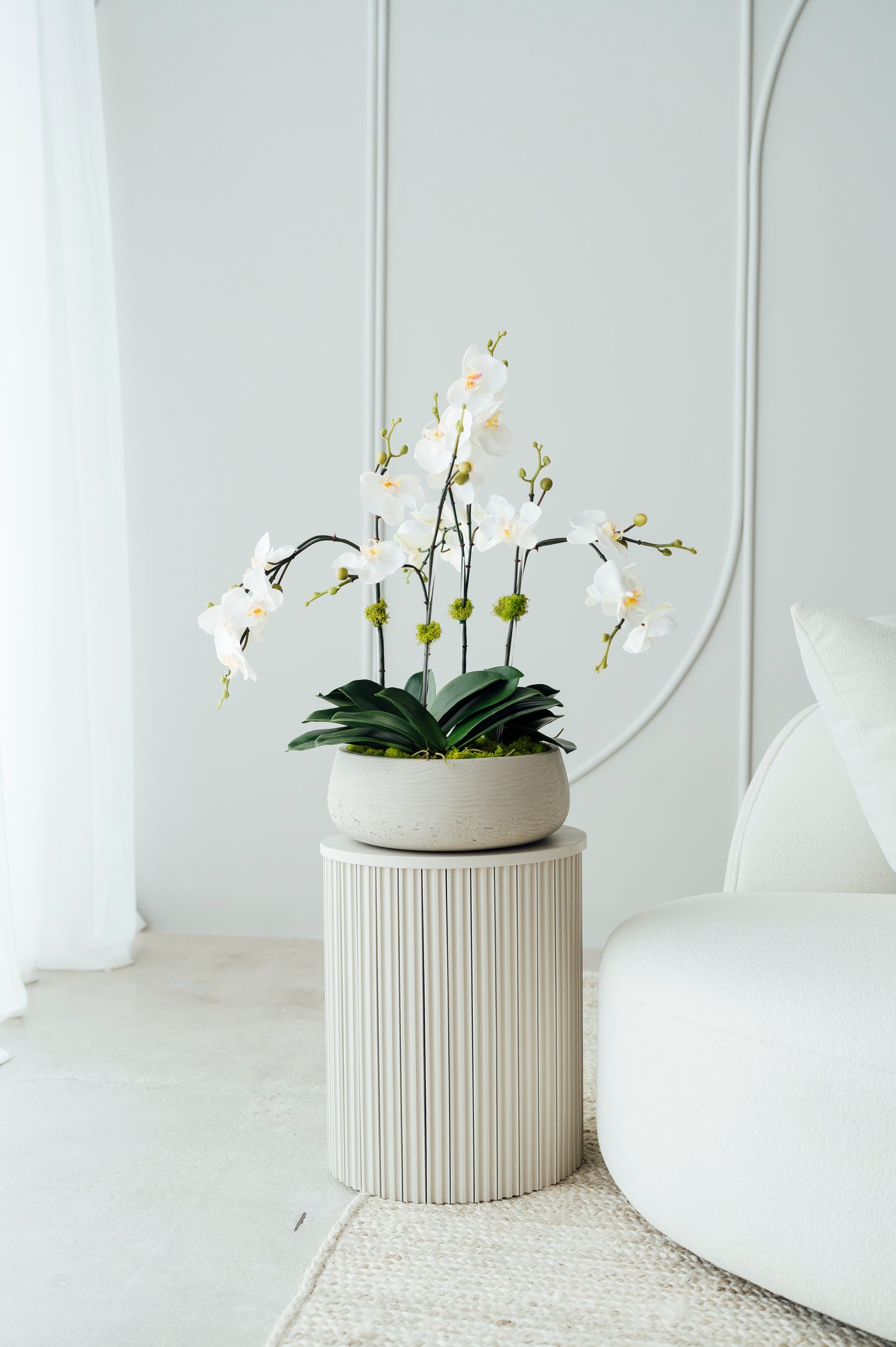 Orchids in Medium Cement Vase