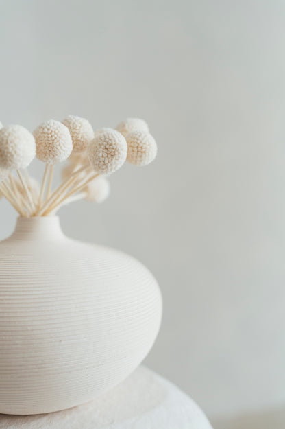 Nude Vase with Craspedia