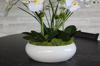 L’Orchidée de Luxe