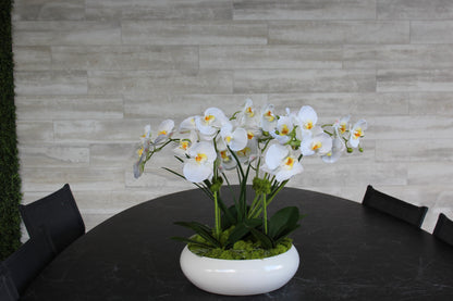 L’Orchidée de Luxe