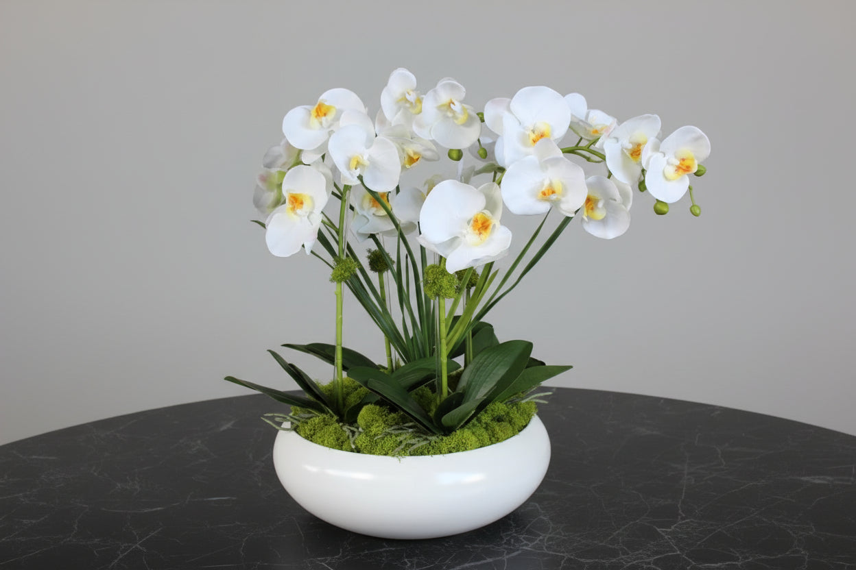 L’Orchidée de Luxe