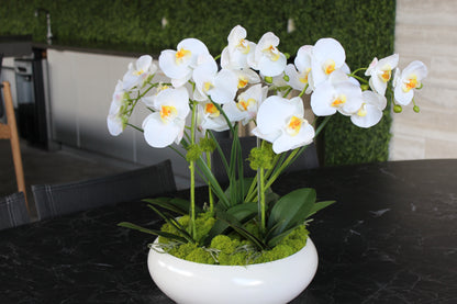 L’Orchidée de Luxe