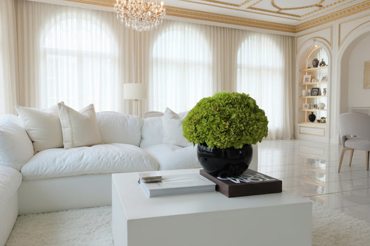 Hydrangea Oversized Arrangement