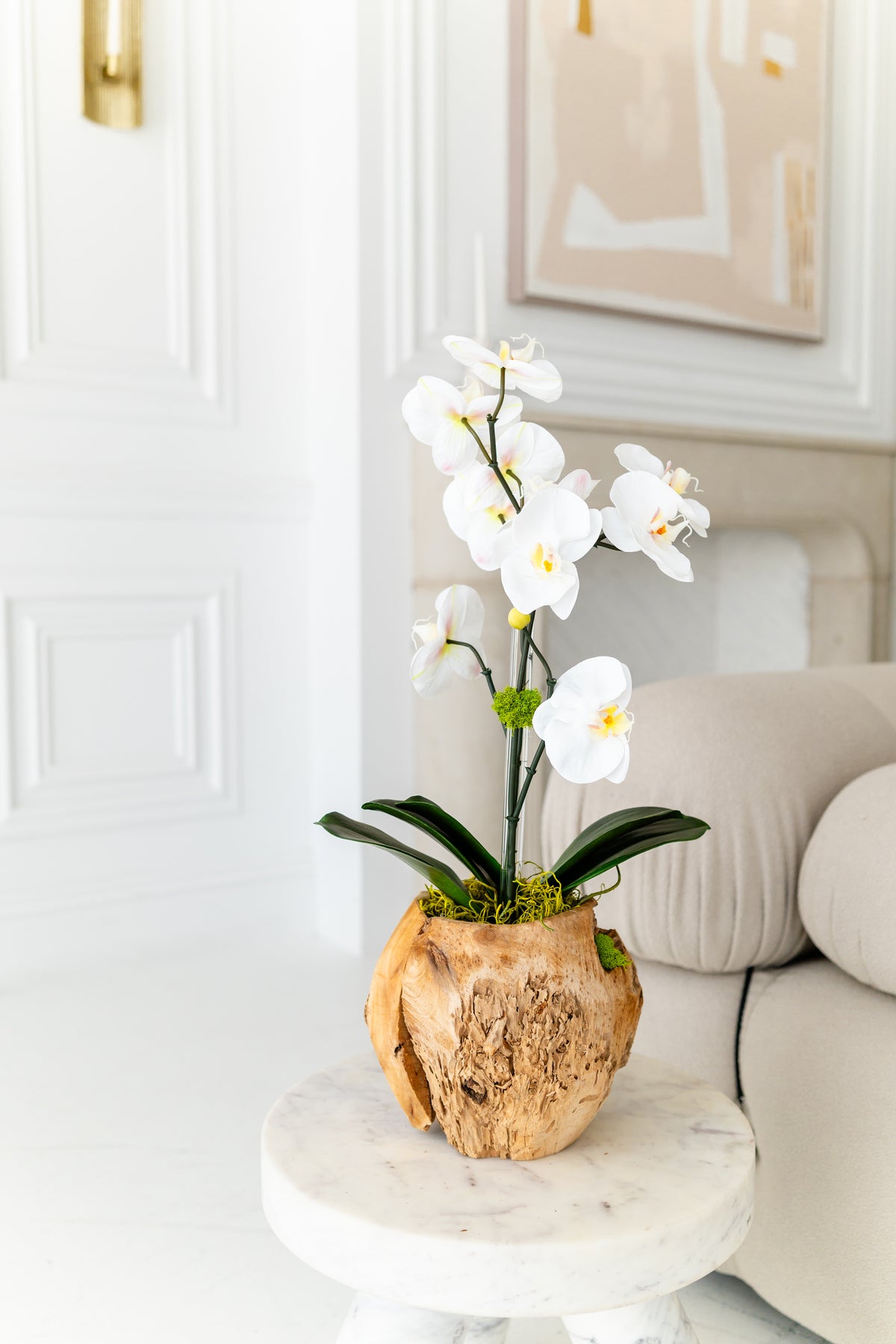 The Terra Orchid