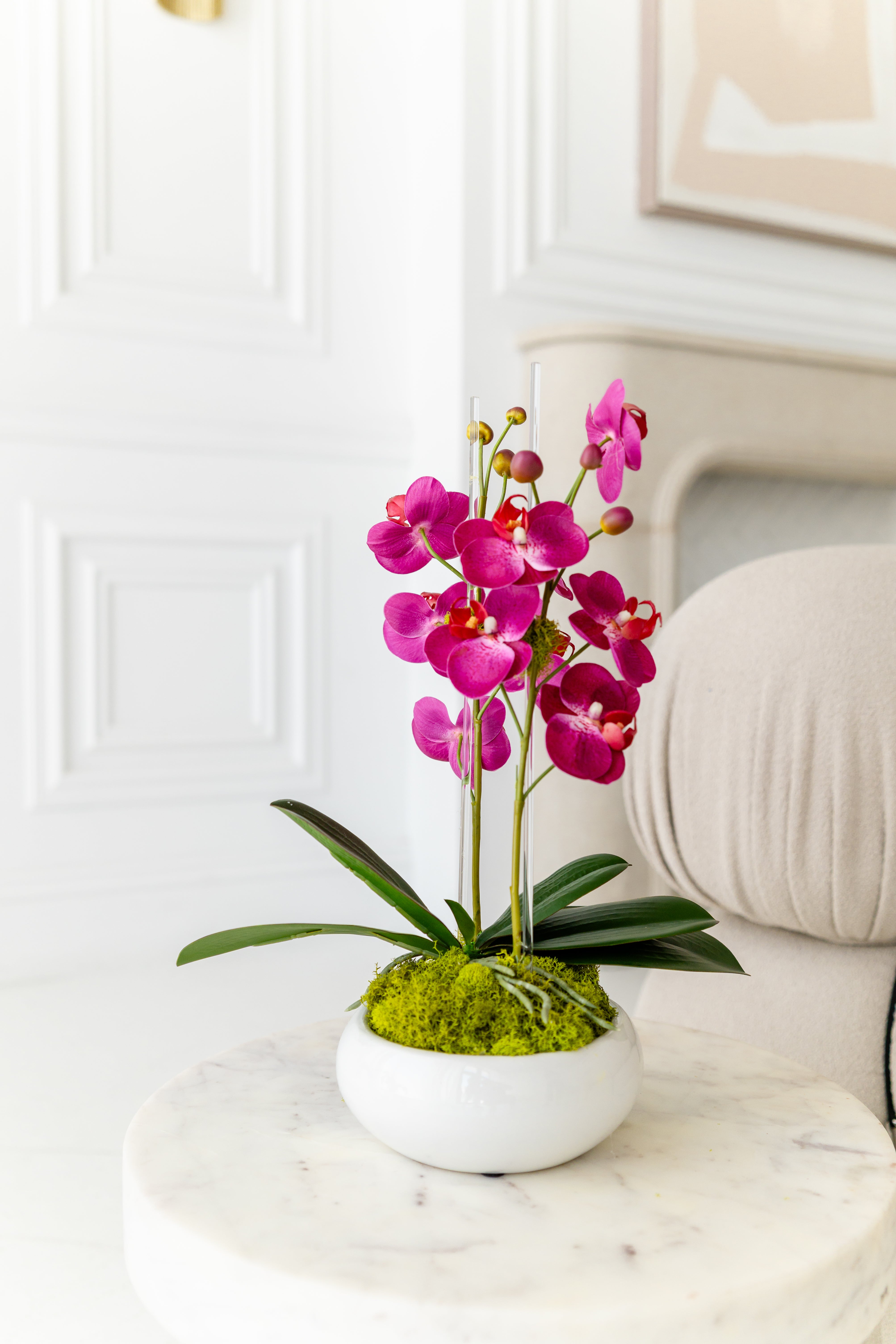 Mini Size Fuschia Orchids