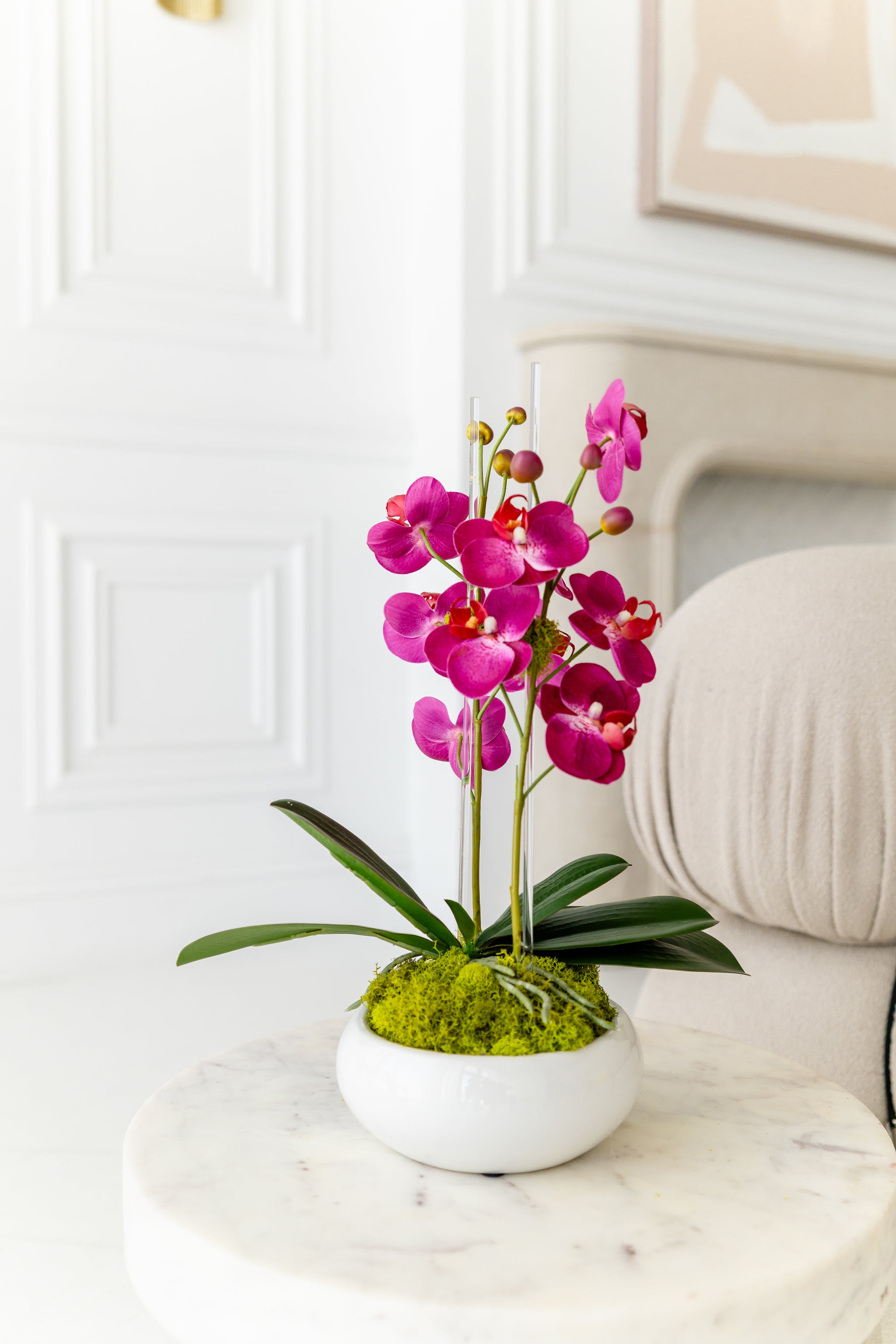 Mini Size Fuschia Orchids