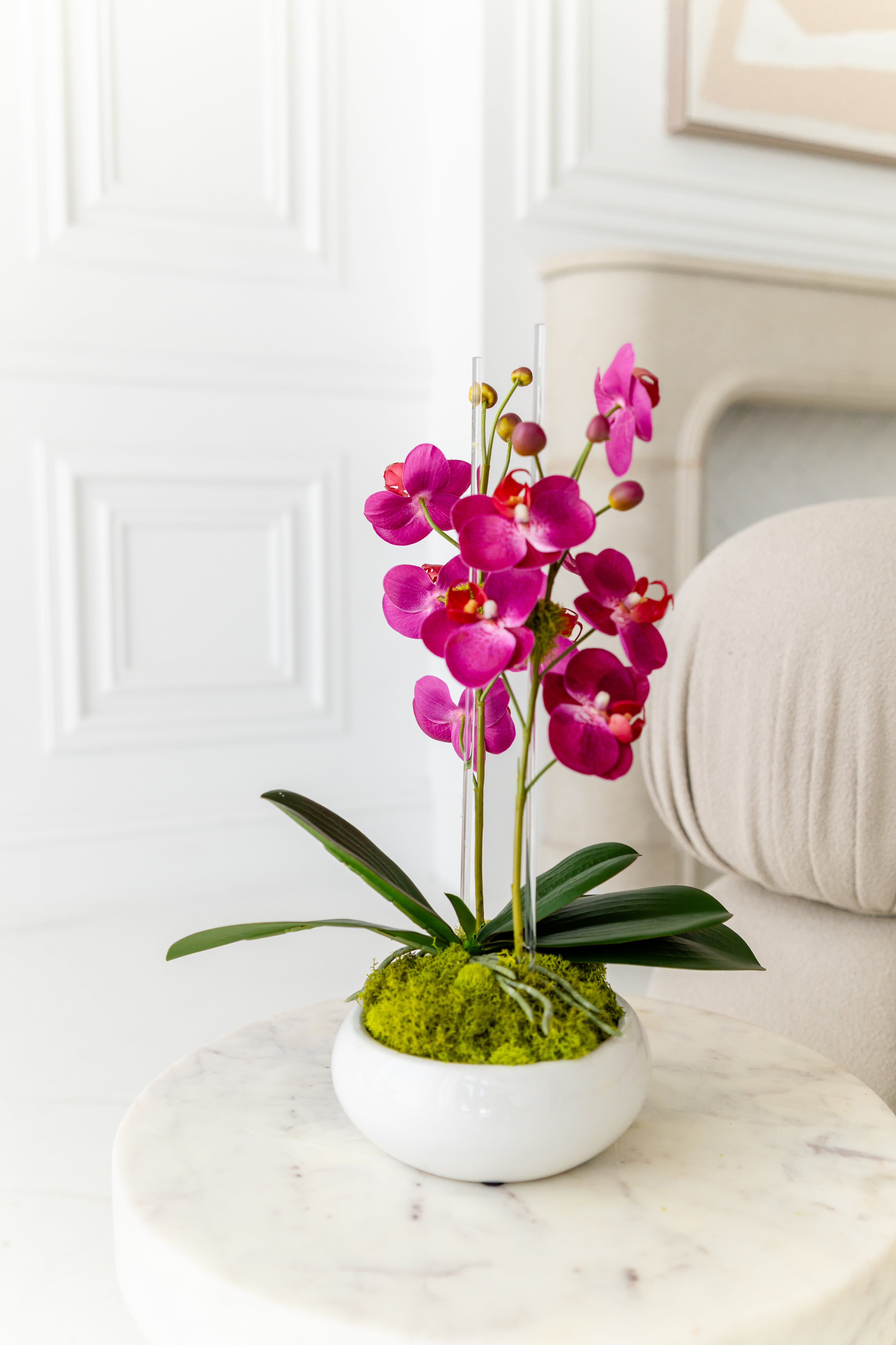 Mini Size Fuschia Orchids