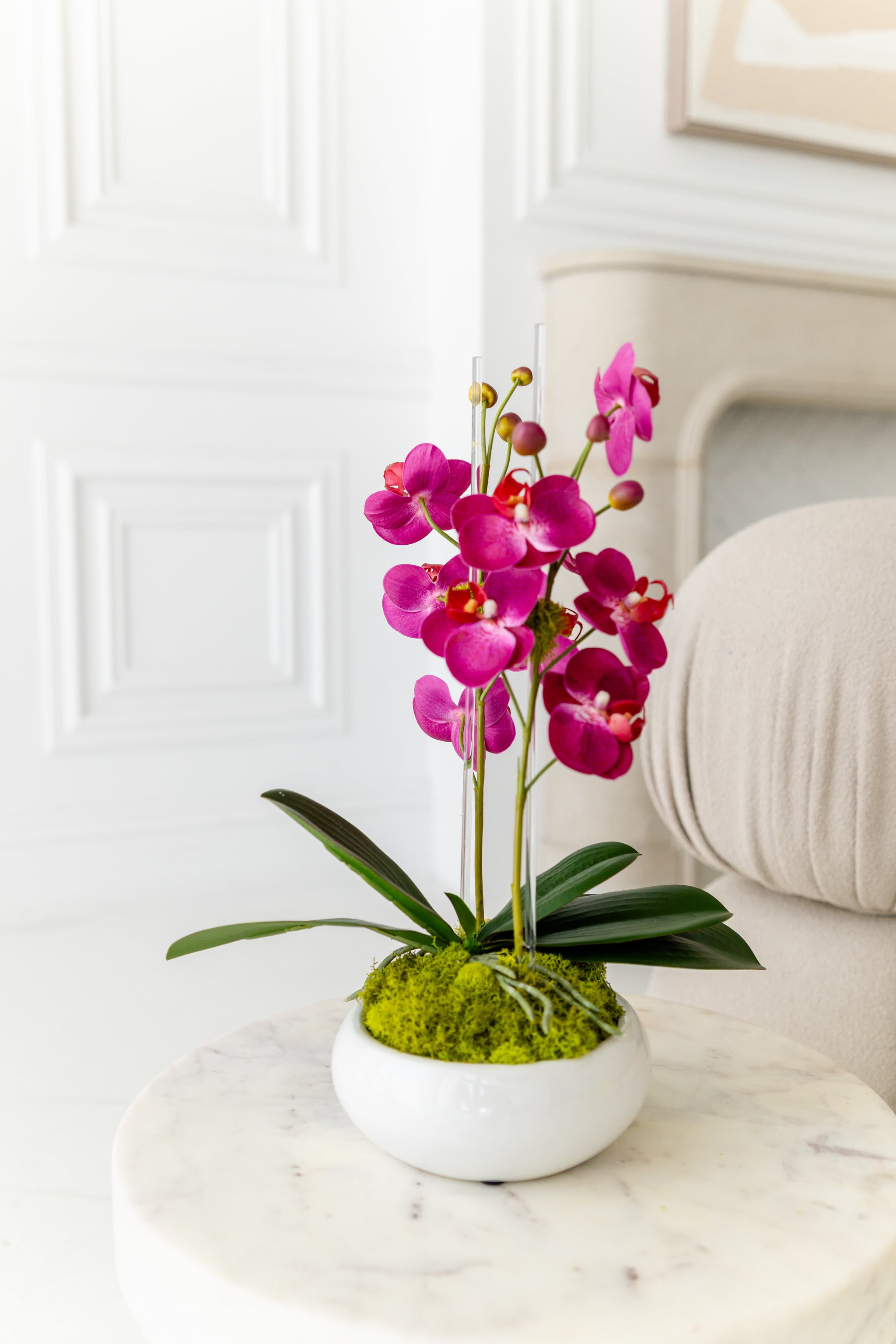 Mini Size Fuschia Orchids
