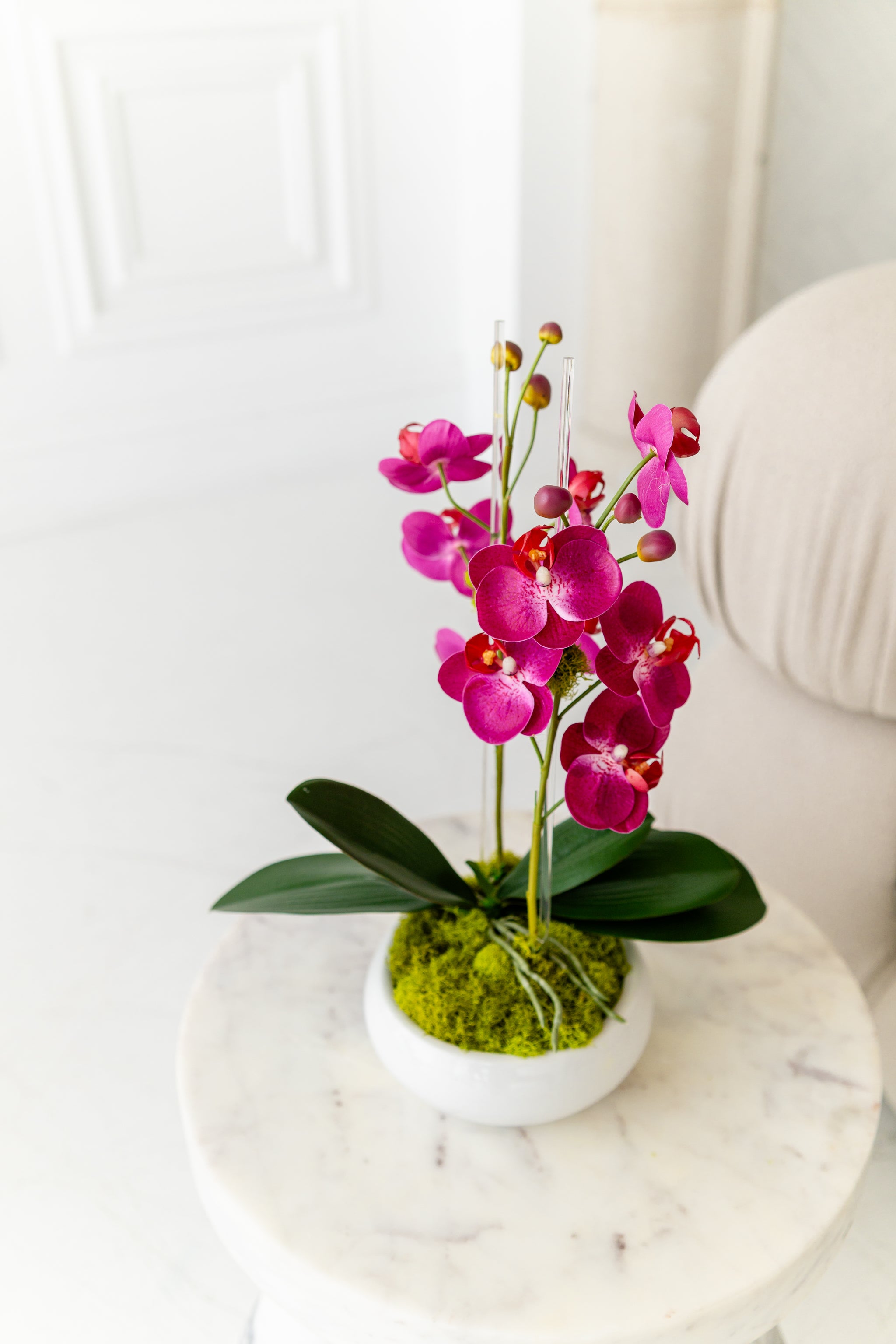 Mini Size Fuschia Orchids