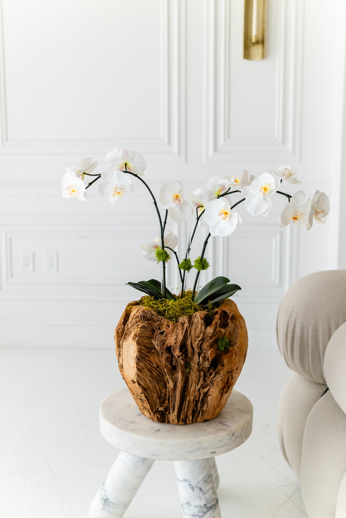 GAIA orchid