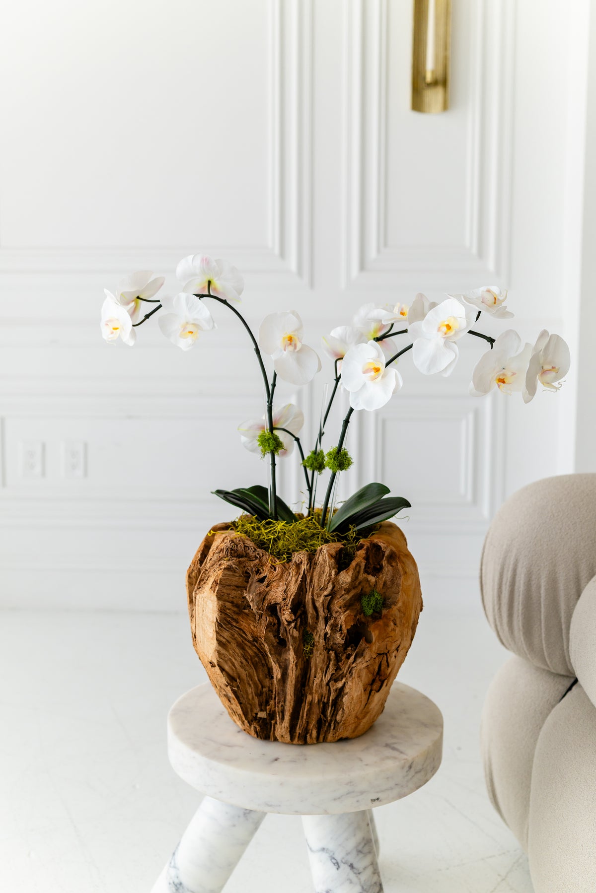 GAIA orchid