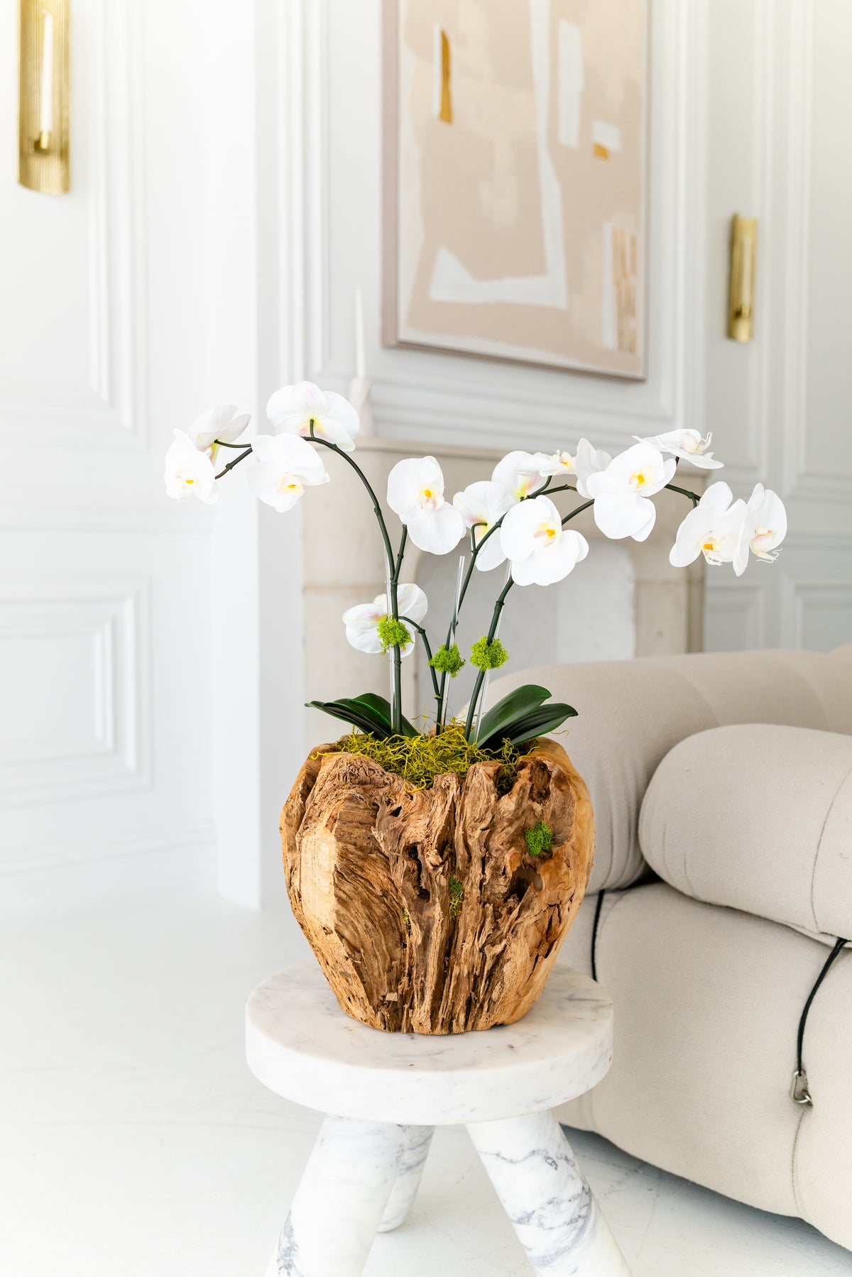 GAIA orchid