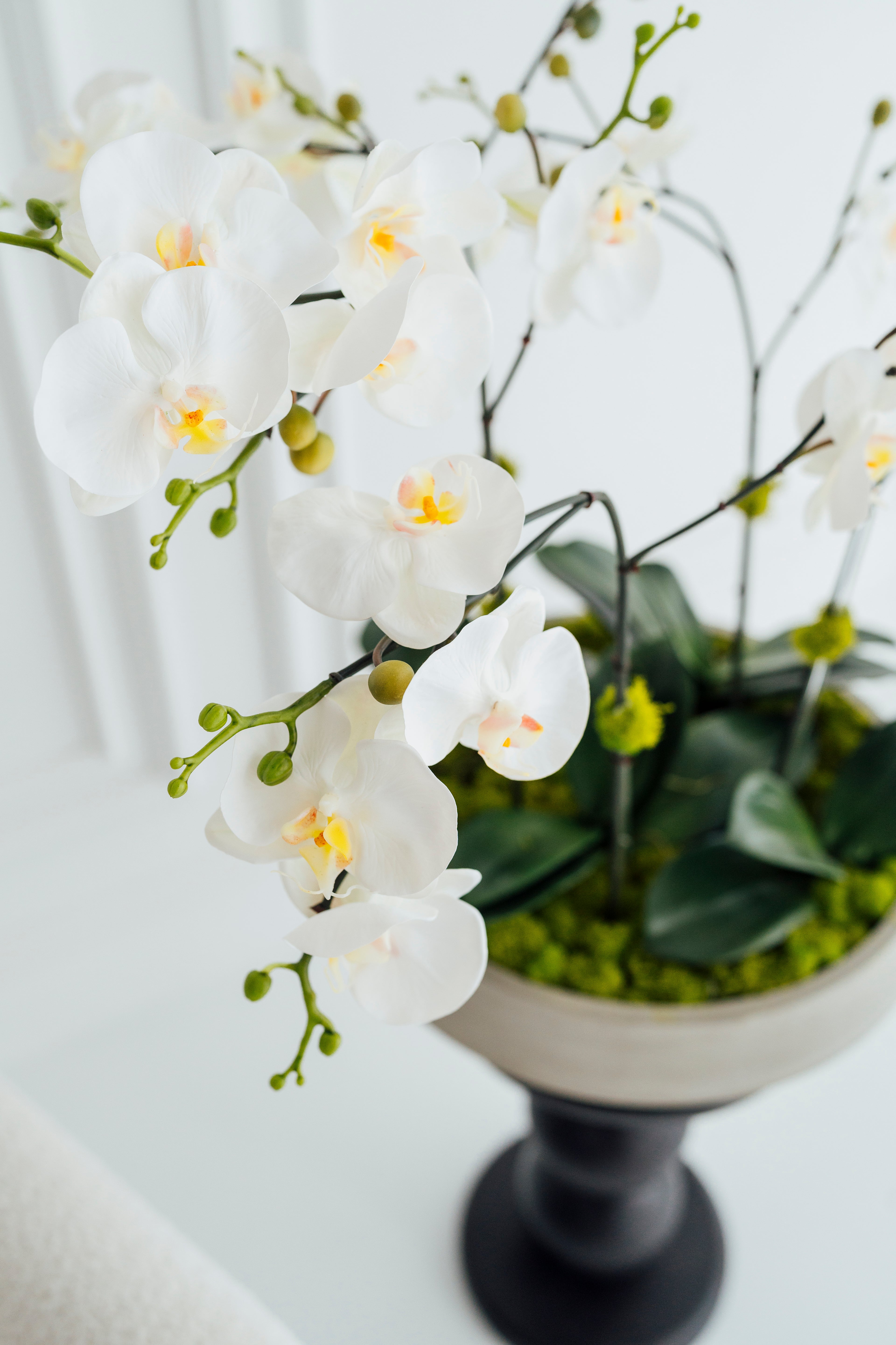 Soie Amour artificial flowers XL Orchids in Cement Vase with elegant white blooms
