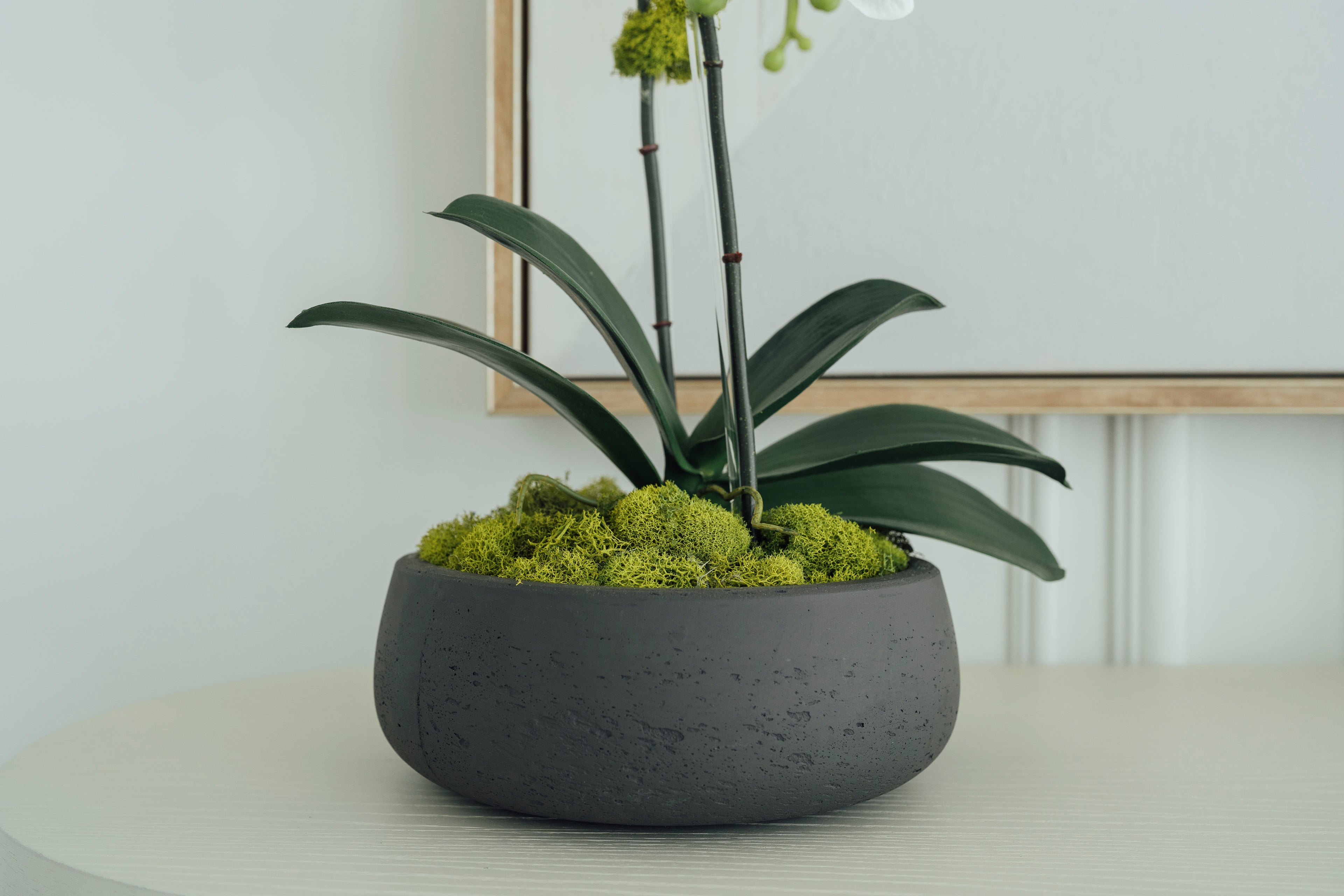 Soie Amour fake flower White Orchids in Dark Gray Cement Vase for modern décor