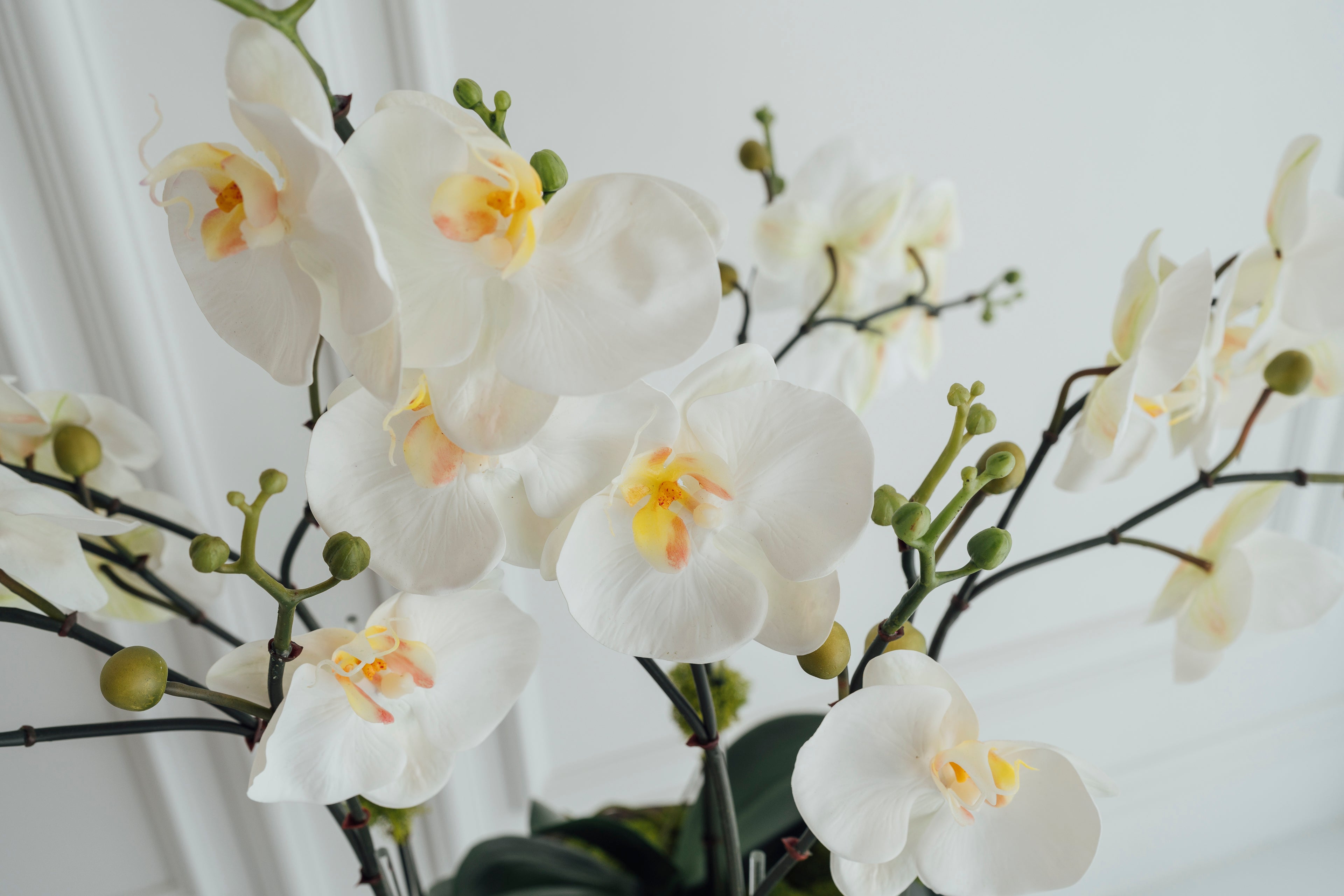 Soie Amour fake flower XL Orchids in Rustic Vase with preserved moss
