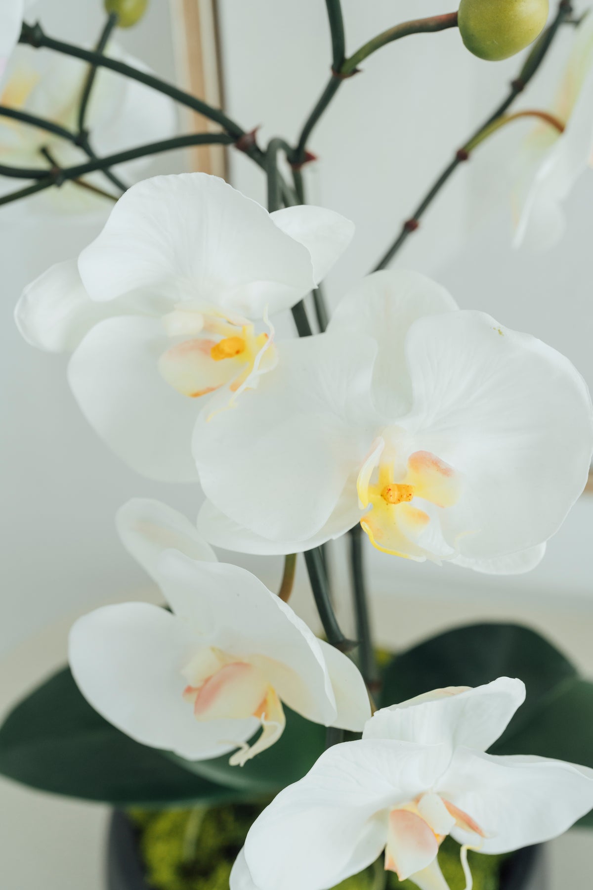 Soie Amour faux flowers White Orchids in Dark Gray Cement Vase arrangement