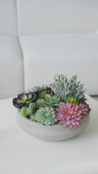Succulents in Cement Vase