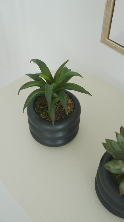 Two Pots of Greenery